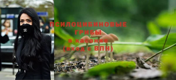 дурь Нягань