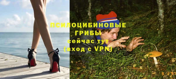 дурь Нягань