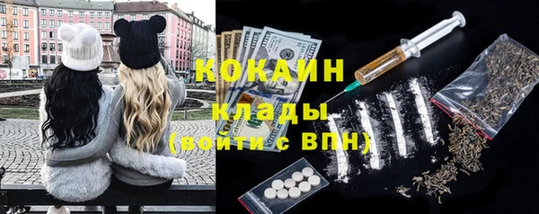 СК Няндома