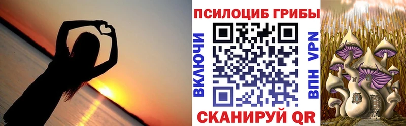 Псилоцибиновые грибы Psilocybine cubensis как найти Сурск